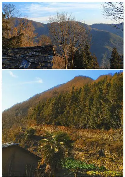 Mountain environment
