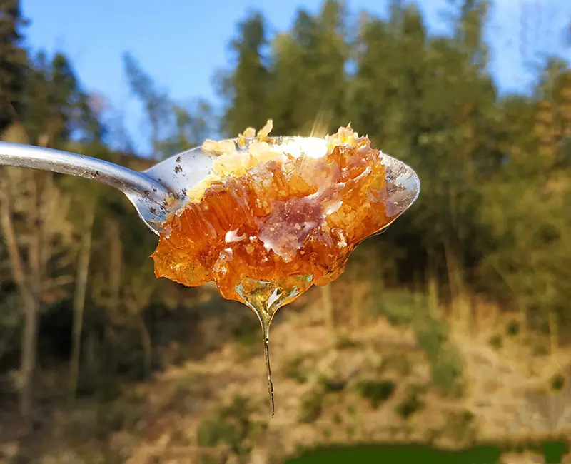 raw honey