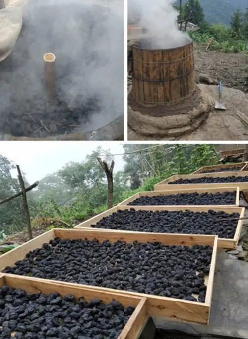 prepared Rehmannia root