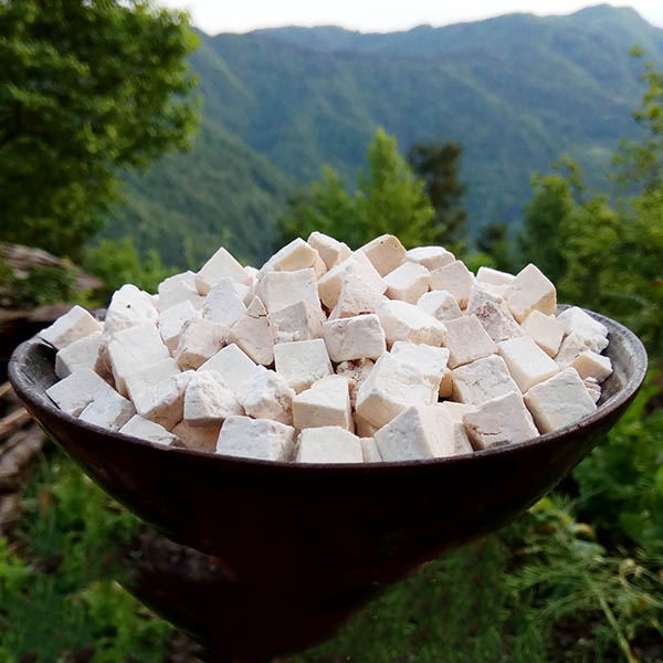 Poria cocos