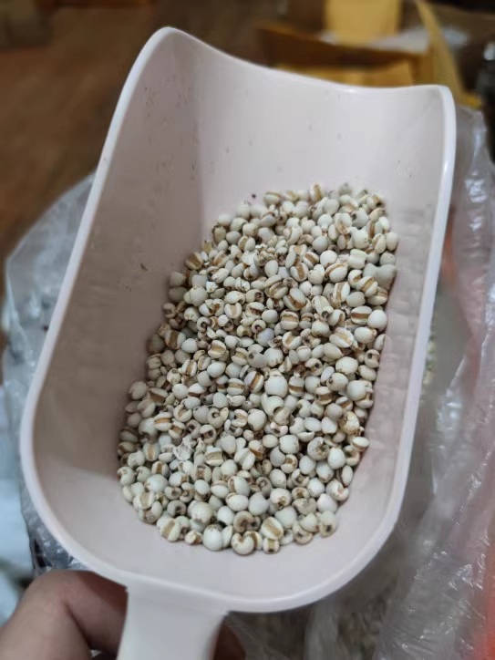 glutinous rice