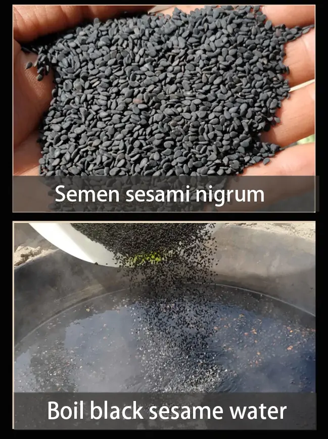 Boil black sesame water