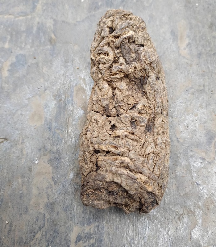 Sulfur free rehmannia root