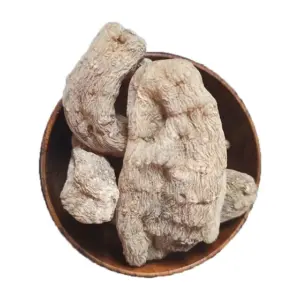 Gastrodia Elata