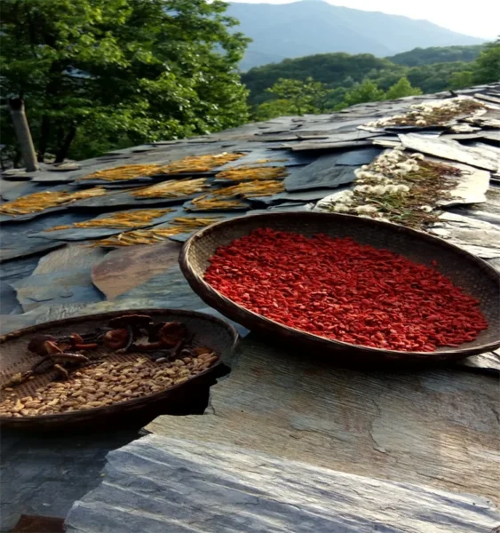 wolfberry fruit