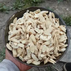 Astragalus