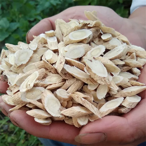 Wild Astragalus Tablets