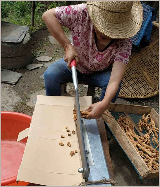 Codonopsis pilosula picture