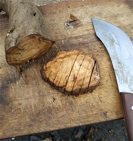 Kudzuvine root