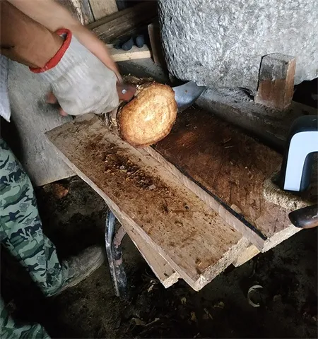 gegen decoction