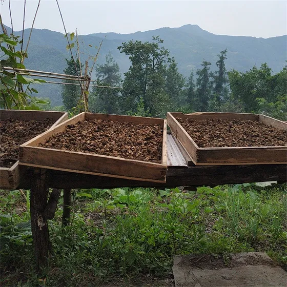 Kudzuvine root