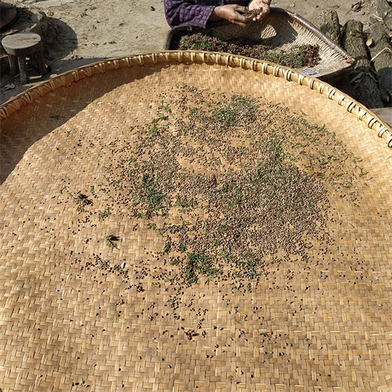 Sulfur-free seed