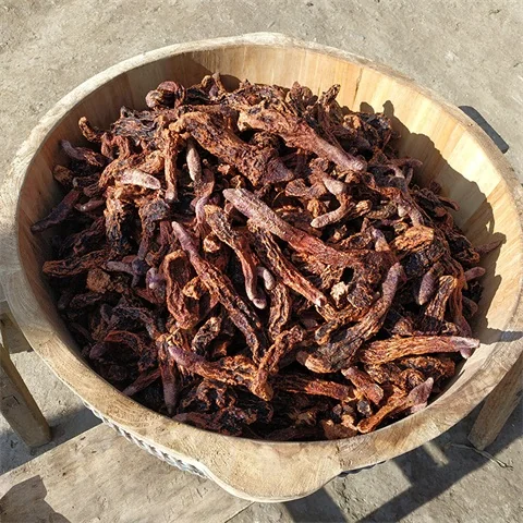 Traditional Chinese Medicine Cynomorium songaricum