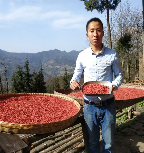 red goji