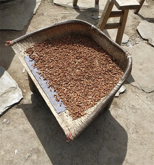 traditional chinese medicinal materials
