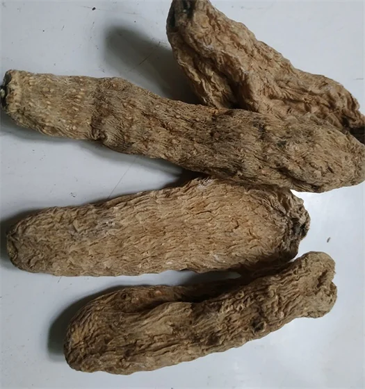Gastrodia elata Tianmazi