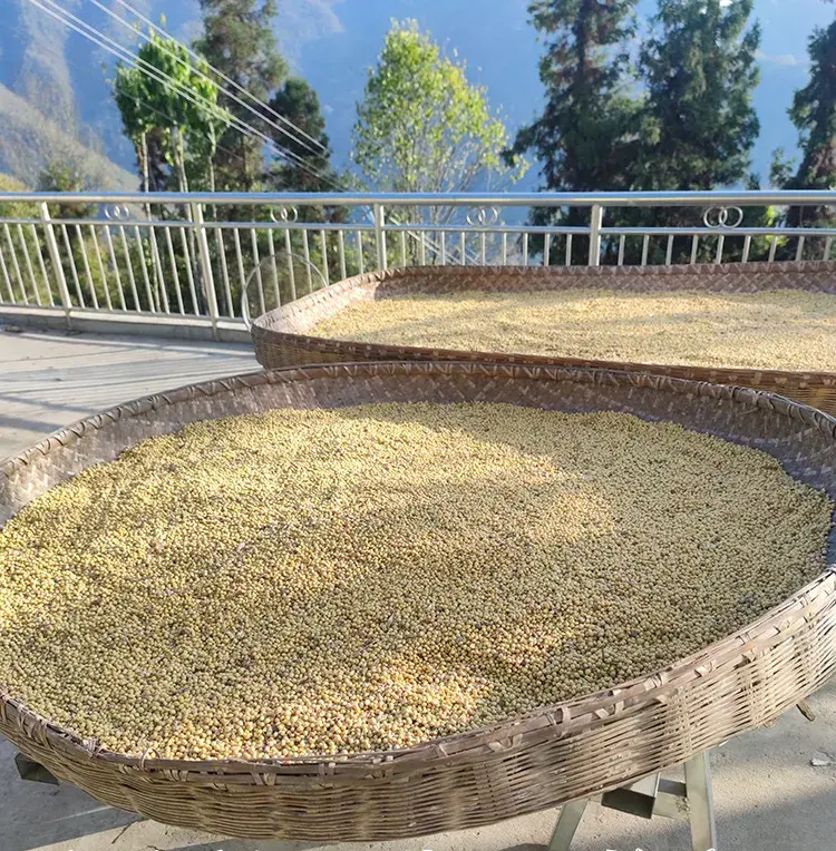 dried soybeans