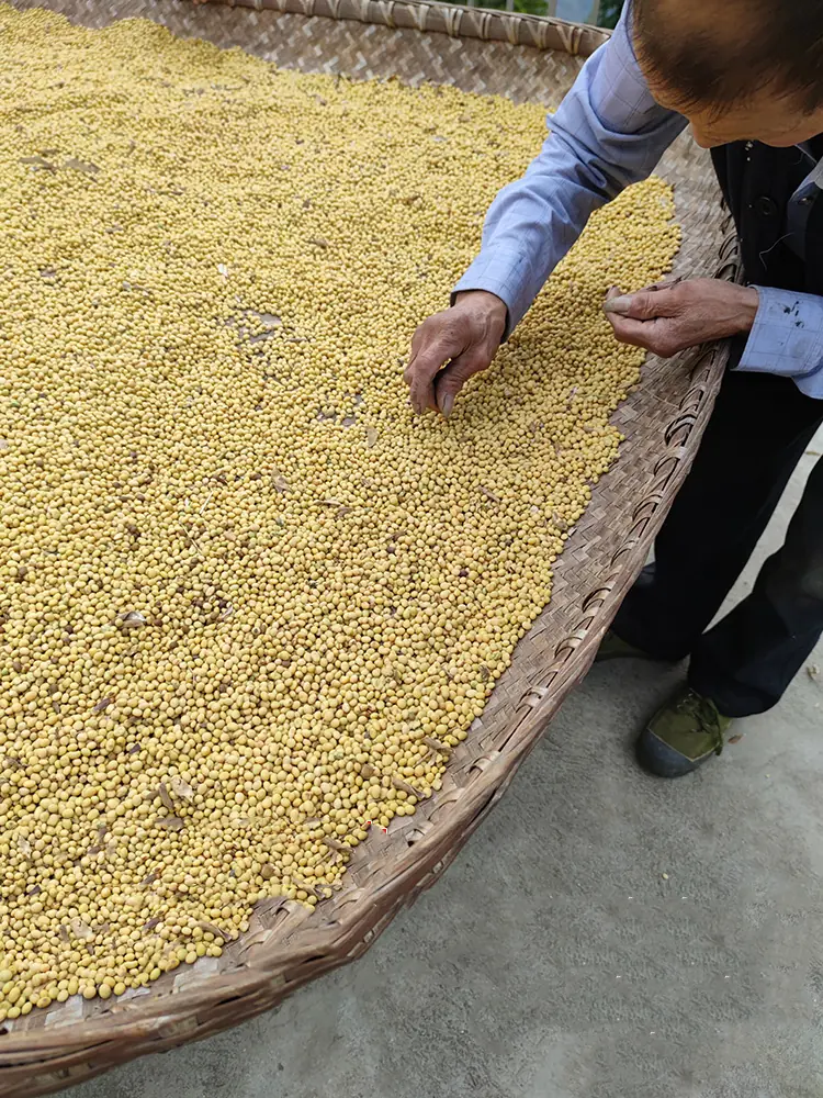 soybean granule