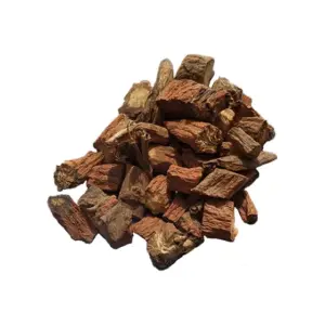 Salvia miltiorrhiza