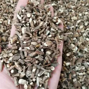 radix bupleuri