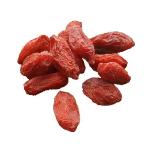 wolfberry