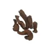 Wild Lockyang Tablets 500g Traditional Chinese Medicine Lockyang Old Lockyang