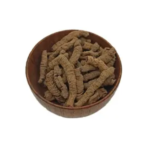 Morinda officinalis
