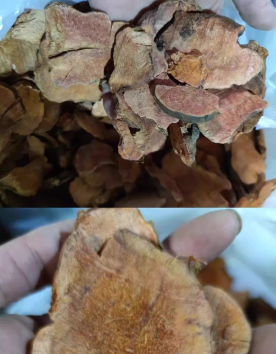 Red slice glabrous greenbrier rhizome