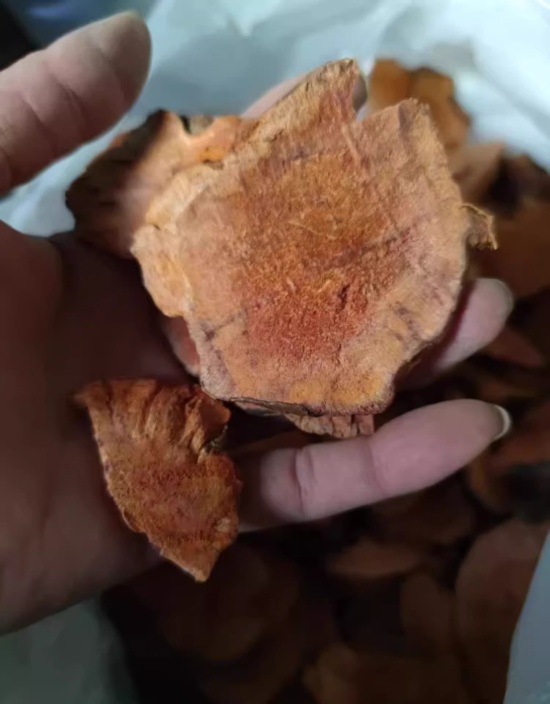 Red slice glabrous greenbrier rhizome