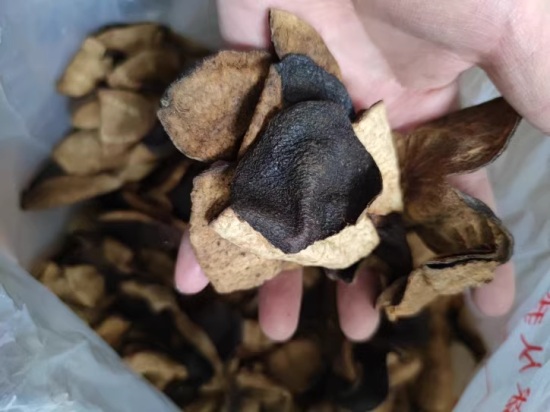 Old tangerine peel