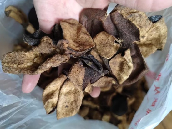 Authentic dried tangerine peel