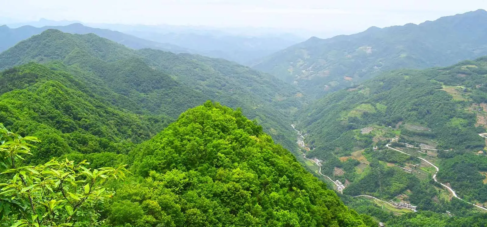 山子堂 | 山子堂