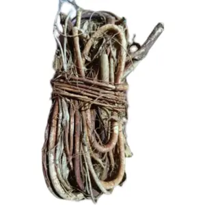 Chinese herbal medicine five-fingered peach