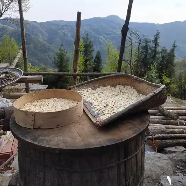 细节：西洋参片500克 中药材西洋参 高品质大片西洋参片 | 山子堂