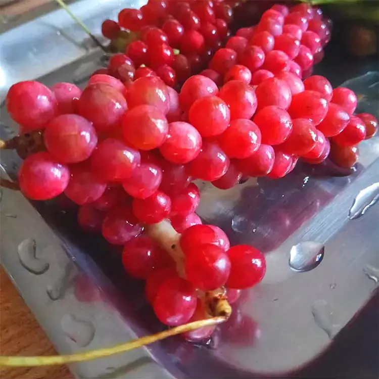 Wild schisandra chinensis