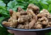 Wild small leaves, bamboo leaves, Polygonatum sibiricum 500g, dried Polygonatum sibiricum, dried Polygonatum sibiricum, Chinese herbal medicine, Polygonatum shanzitang, Polygonatum sibiricum