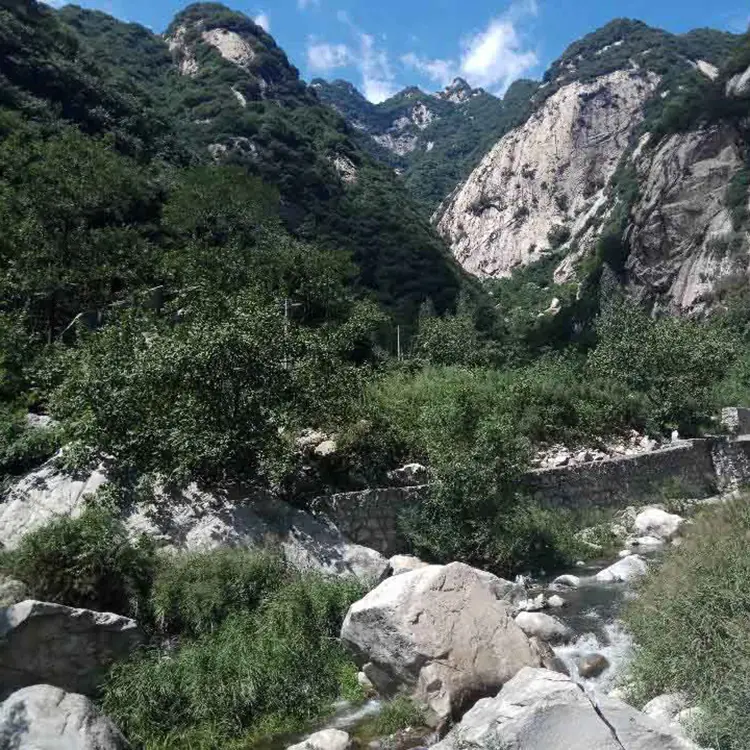 Shanzitang