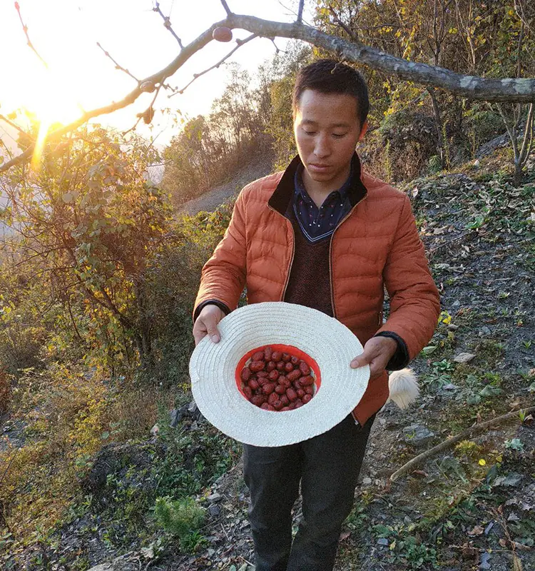 jujube soup