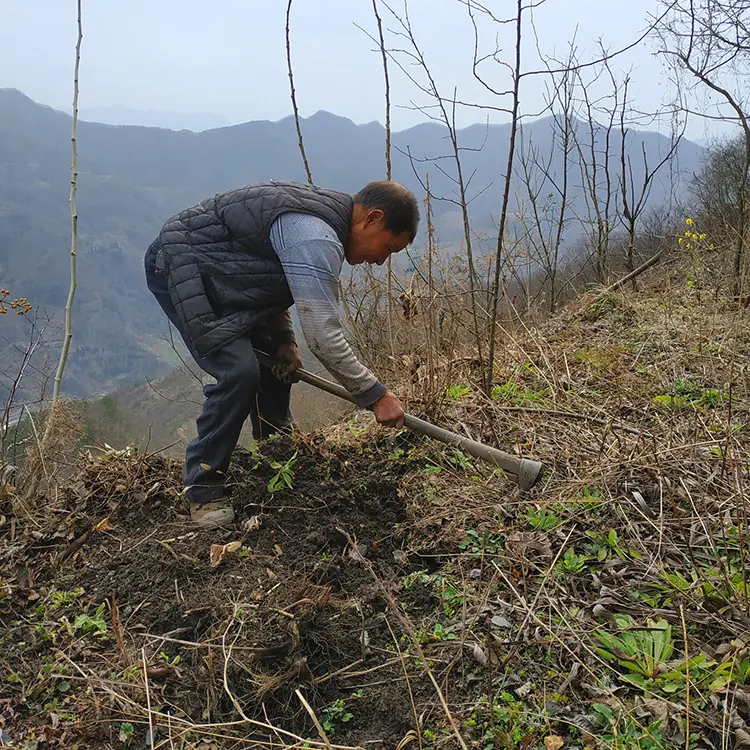 primary agricultural products