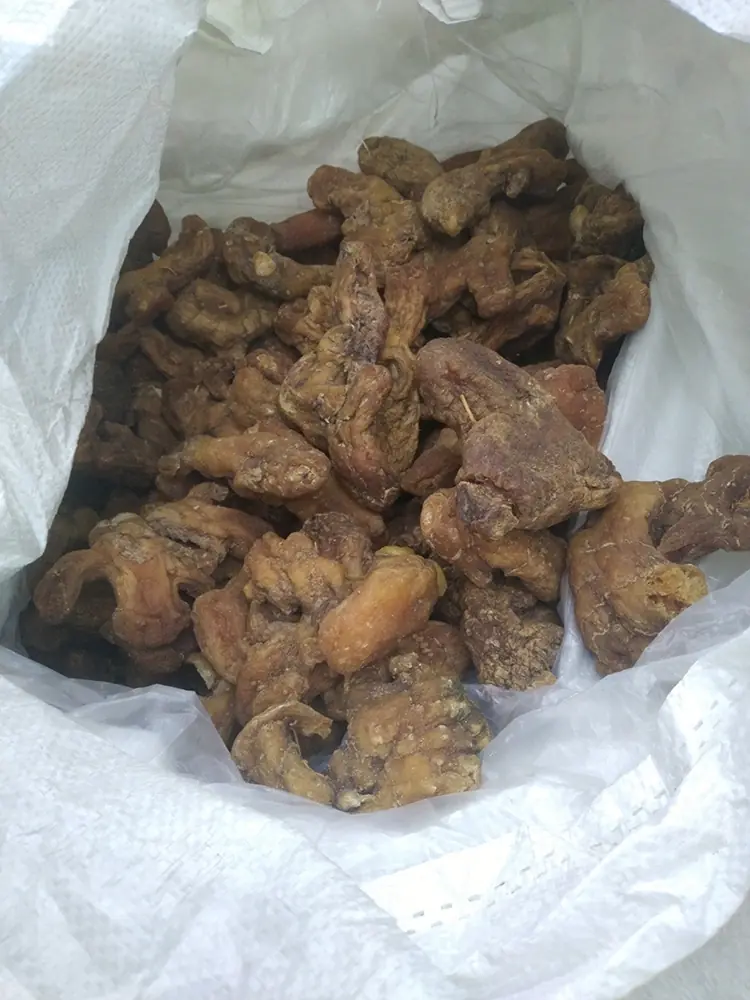 dried polygonatum