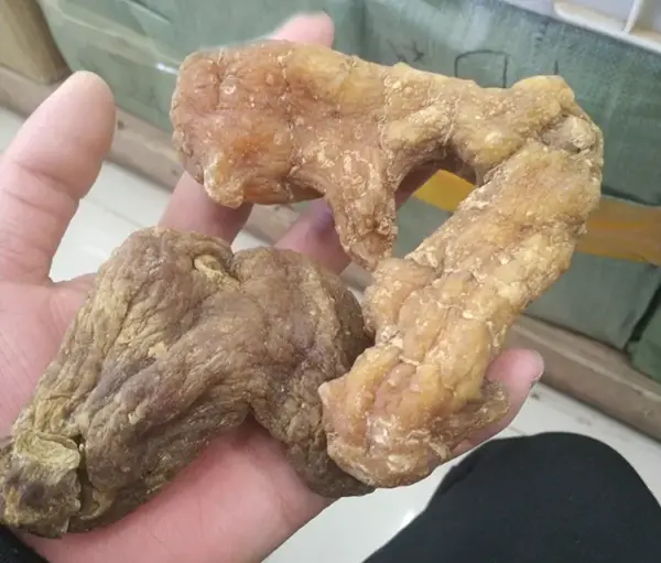 细节：野生生黄精 干黄精个子500克 生黄精片 黄精毛料 黄精干的 | 山子堂