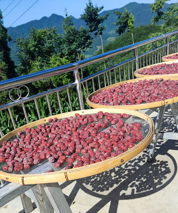 red dates