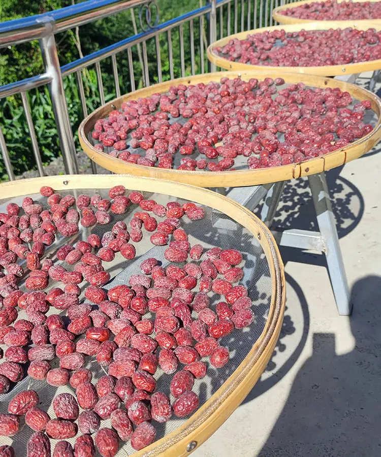 red jujube