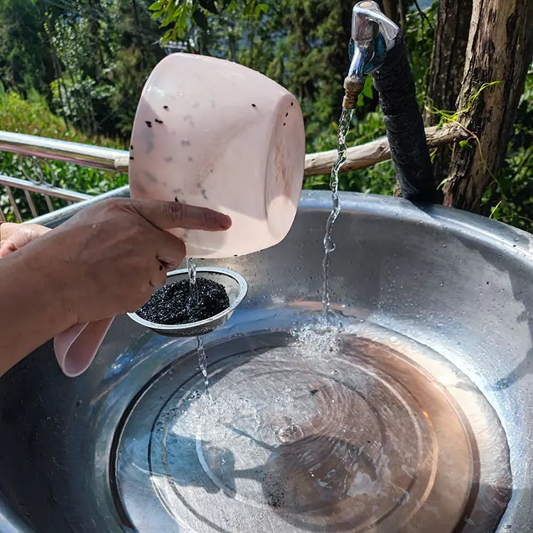 washing black sesame