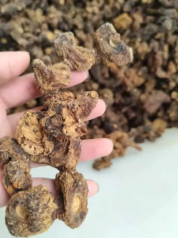 使用场景：野生小叶竹叶黄精个子500克  干黄精个  生黄精干 中药材黄精山子堂黄精 | 山子堂
