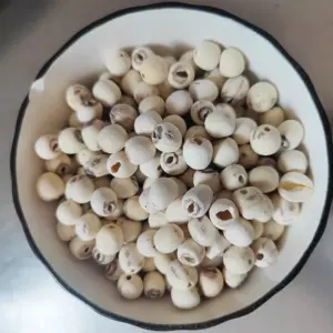 lotus seed