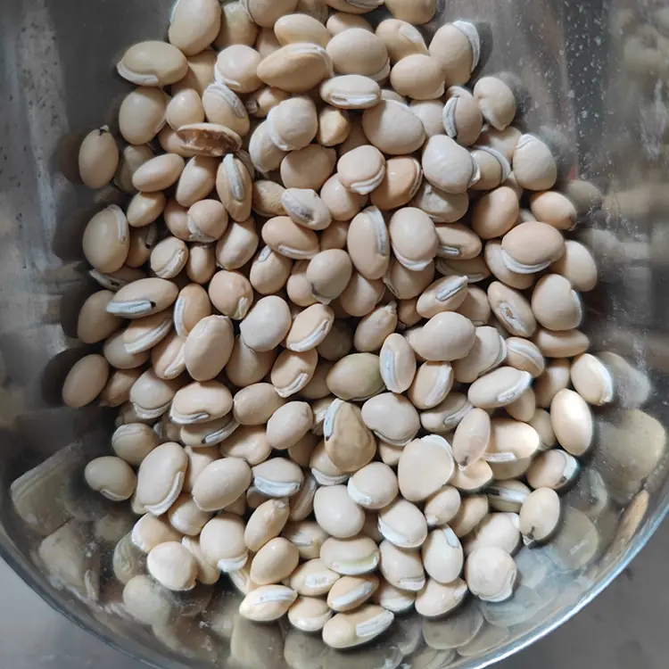 White lentils 500g