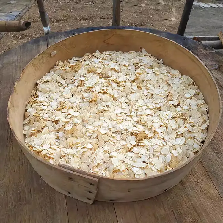 American ginseng slice