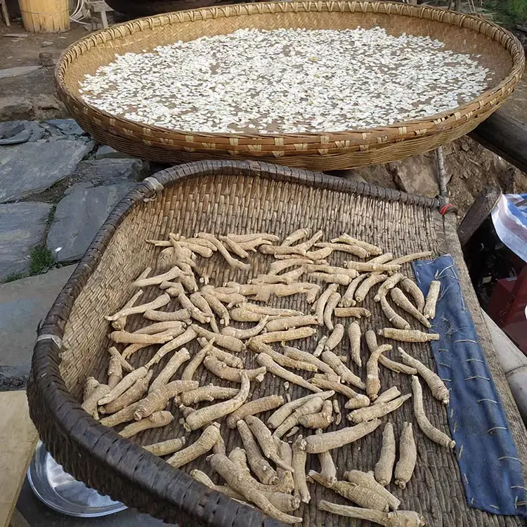 American ginseng slice